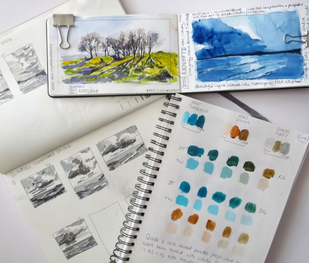 The sketchbooks of artist Vicki Hutchins